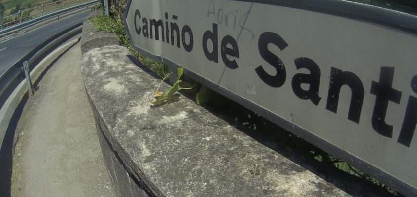 Ja i droga. Camino de Santiago (3)