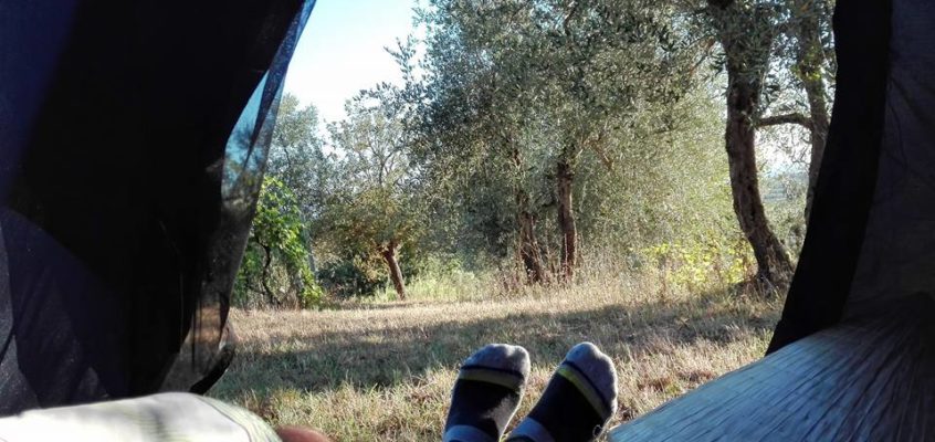 Via Francigena 13.08.2017 Gambassi Terme – San Gimignano